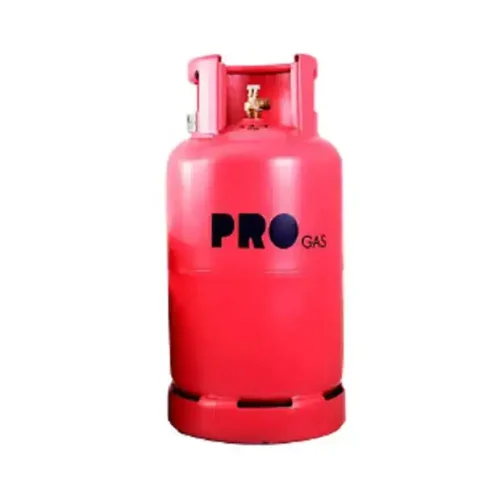 ProGas 13kg Cylinder with regulator and 3 meters rubber pipe - kegasdealers